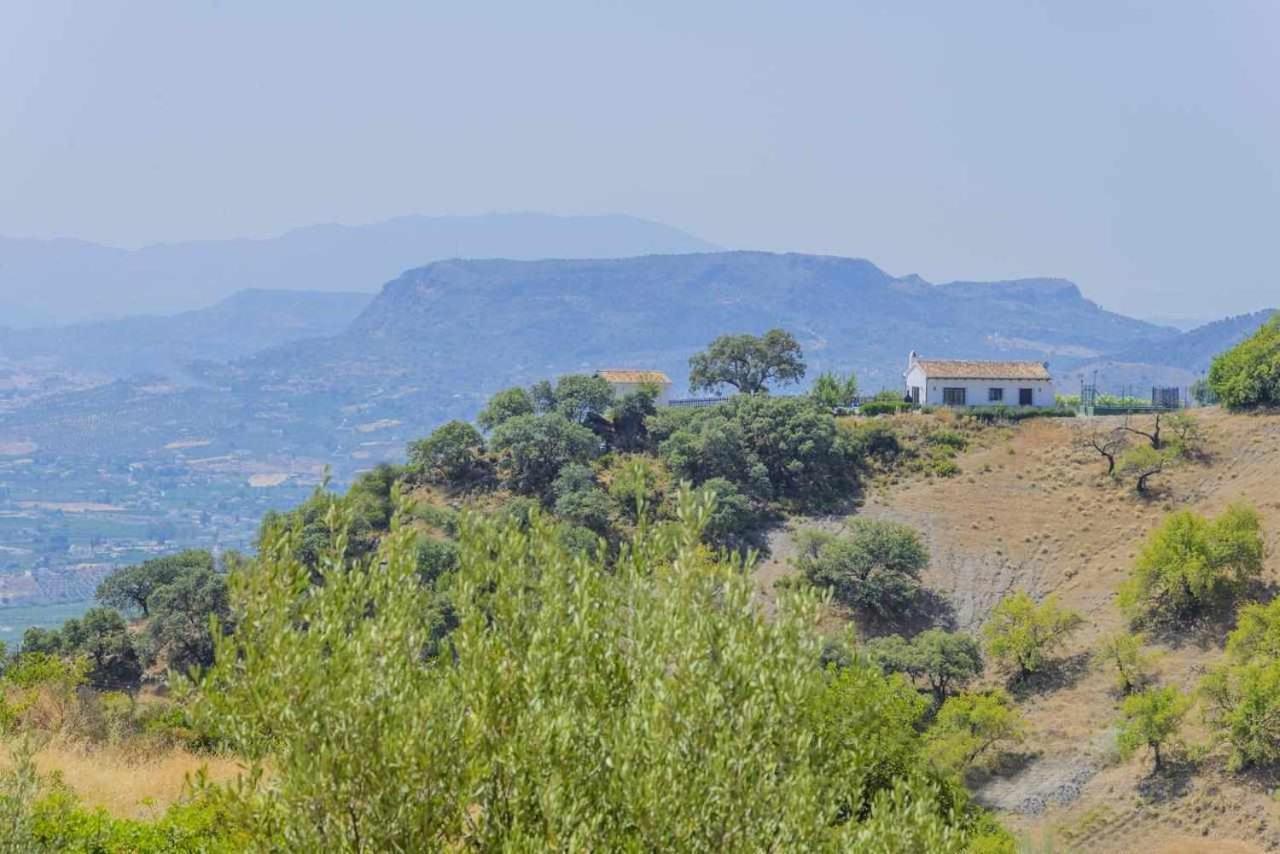 Casa Rural El Chaparro El Chorro Kültér fotó